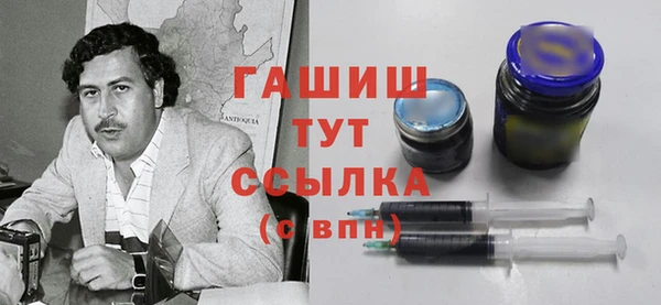 гашик Алексин
