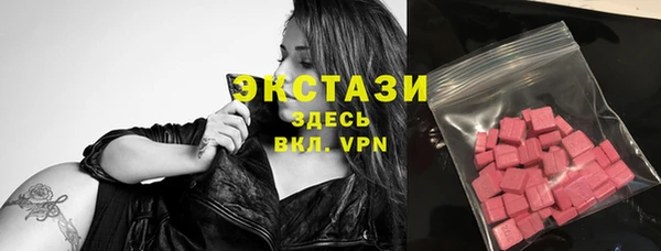 гашик Алексин