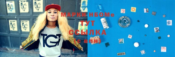 гашик Алексин