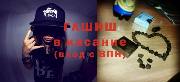 гашик Алексин