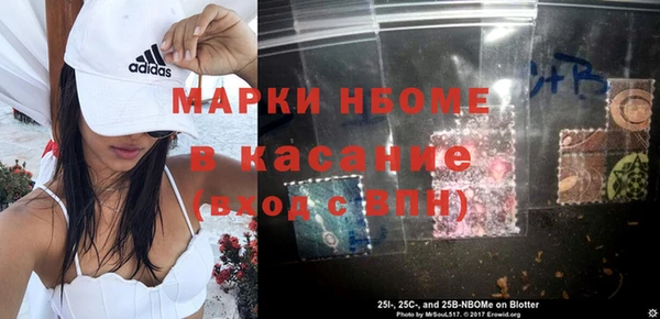 гашик Алексин