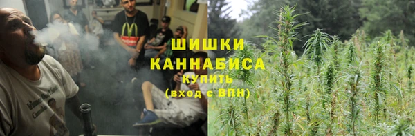 гашик Алексин