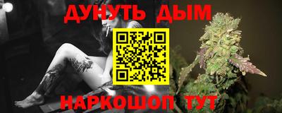 прущие грибы Ставрополь