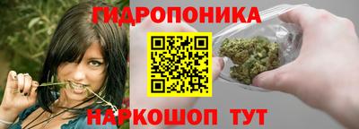 прущие грибы Ставрополь