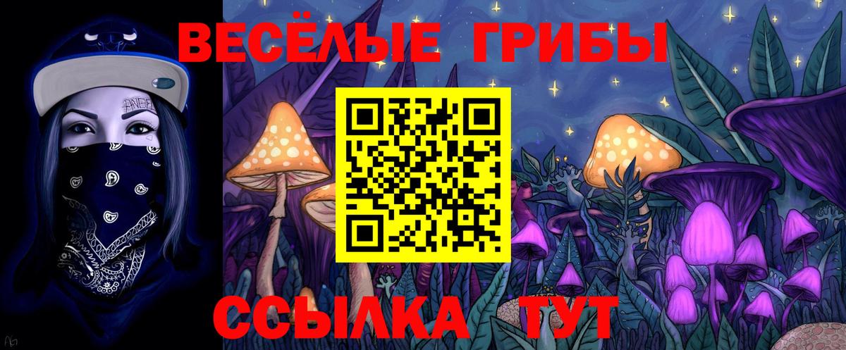 Галлюциногенные грибы GOLDEN TEACHER  Вход с VPN  Бирск 